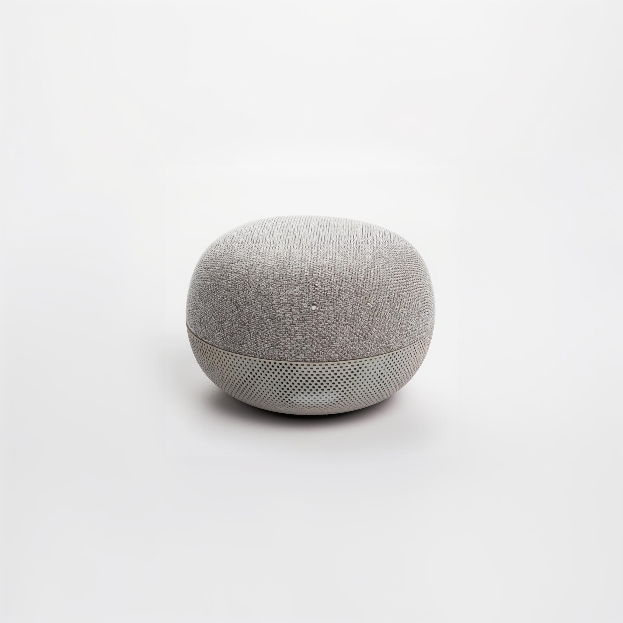 Speaker pro 2